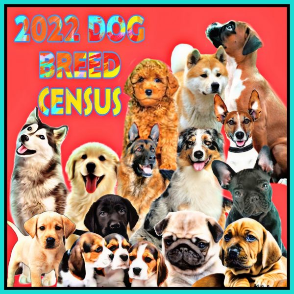 2022 Dog Breed Census