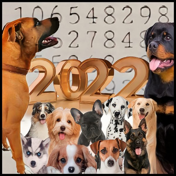 2022 Dog Attack Statistics