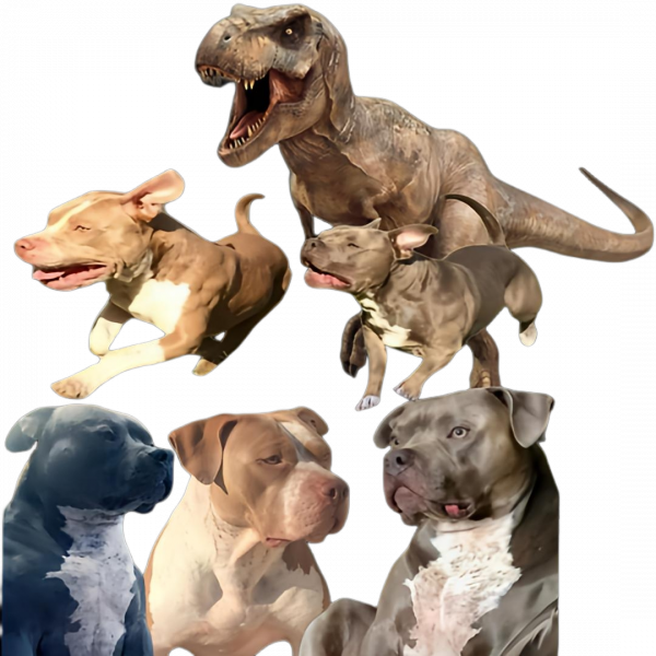 Tyrannosaurus Rex With Pit Bulls