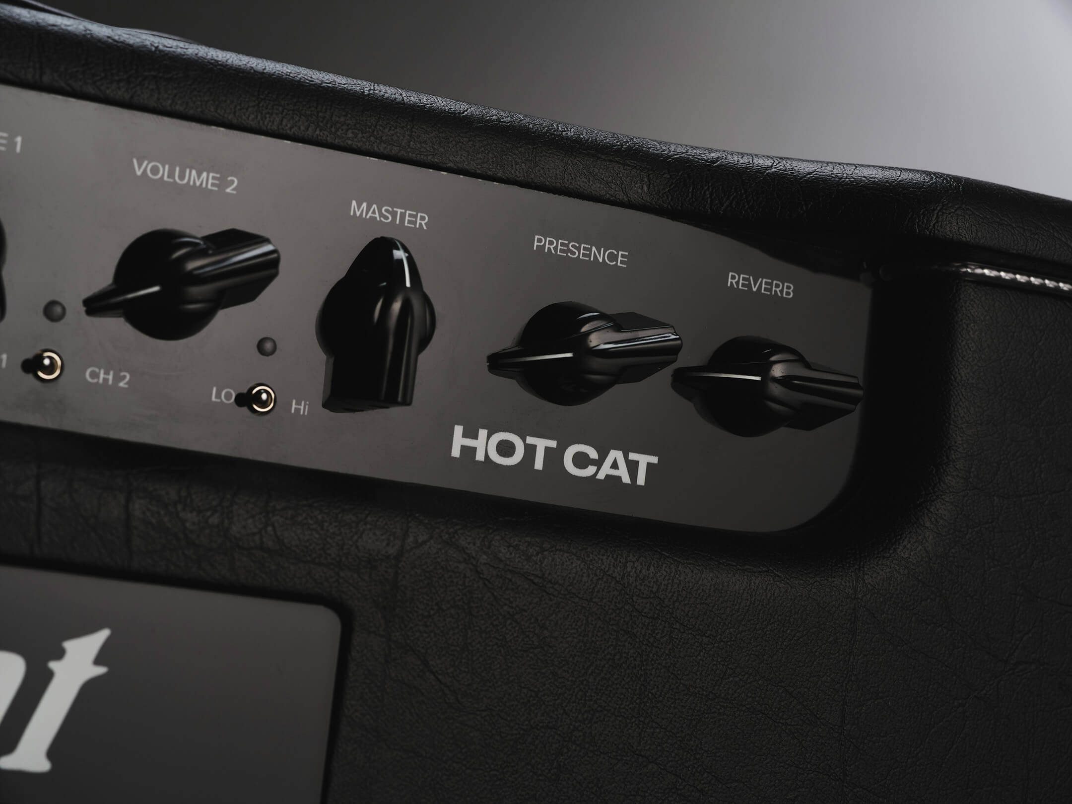 Bad Cat Hot Cat 1X12 Combo