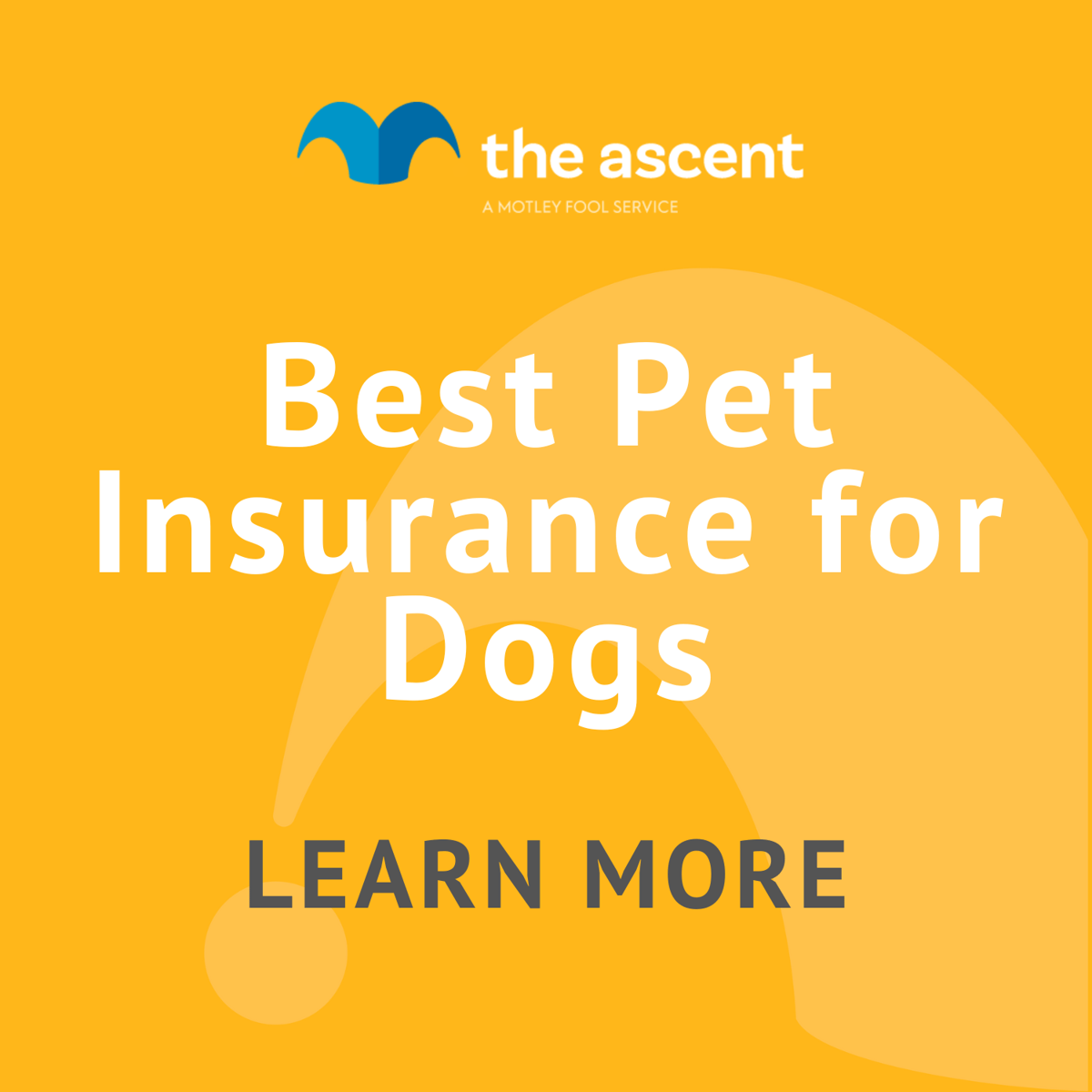 Best Pet Insurance For Dogs