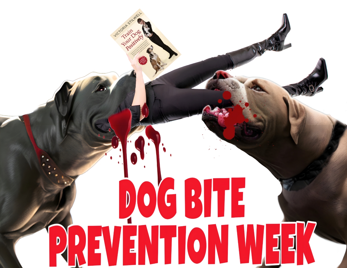 Dog Bite Prevention Week 2023: Heels In Mud, Blood And Dogs