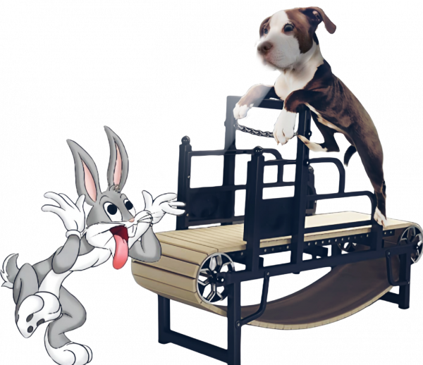 Bull On The Treadmill With Bugs Bunny