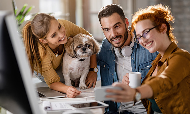 How Pet Insurance Can Connect With Employees And Retain Talent