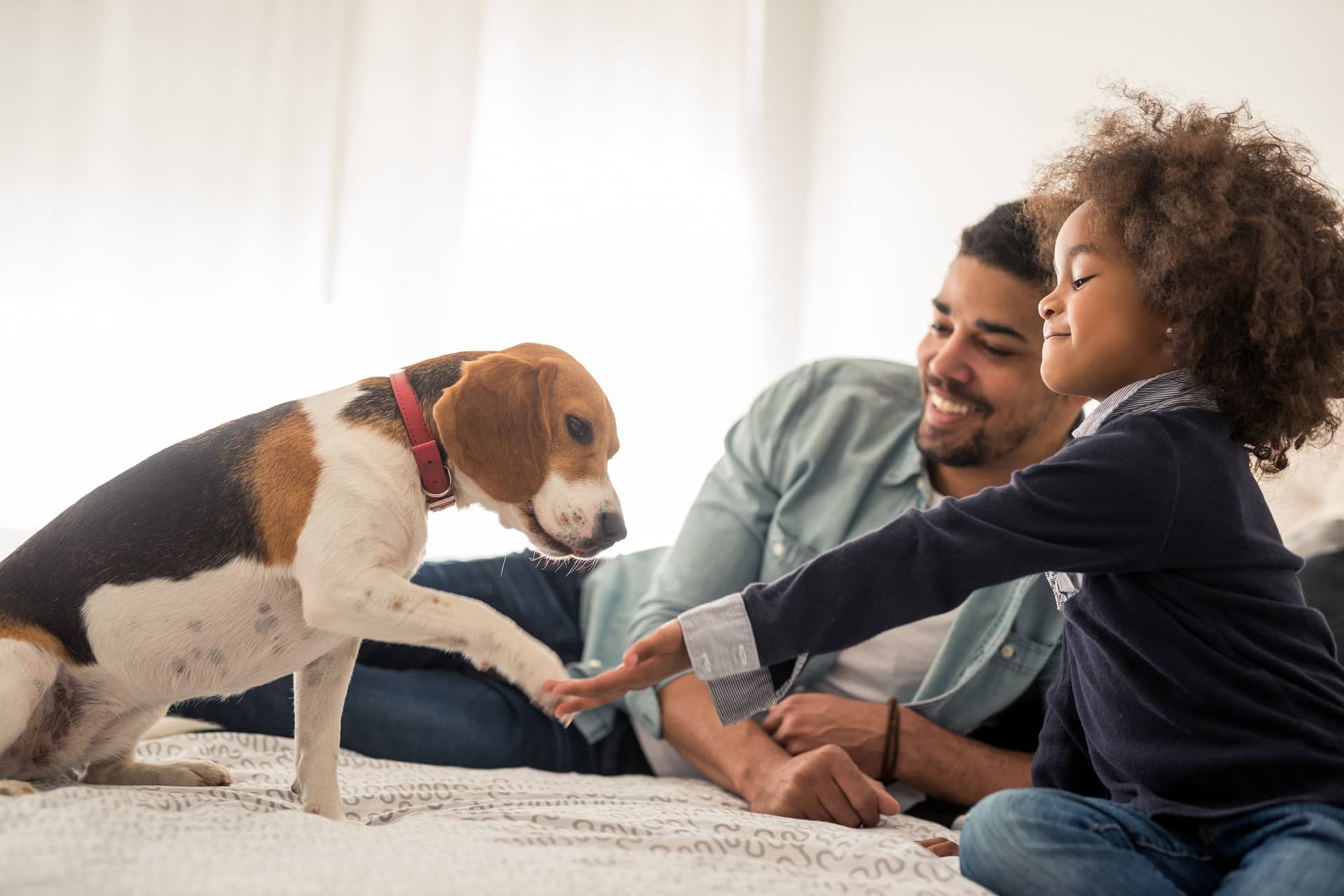 Metlife Uses Efficient Marketing To Open Pet Insurance Sales