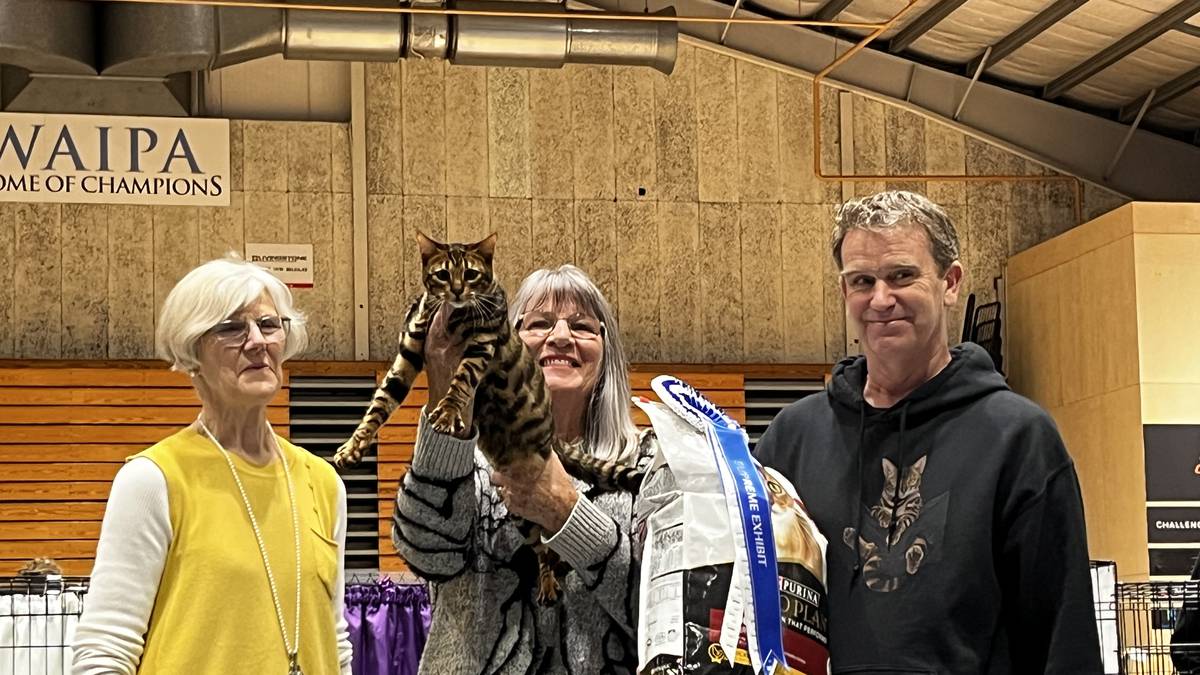 30Th Anniversary Of The Med Island Cat Club Show