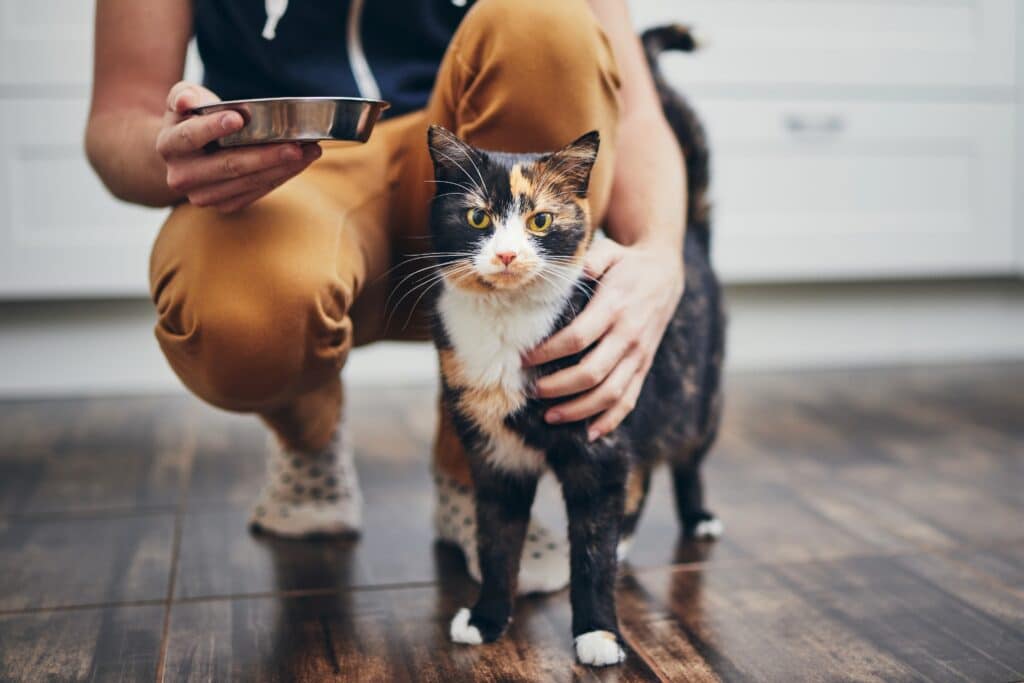 Best Pet Insurance In Oklahoma (2023 Ratings)