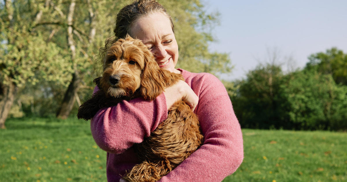 Is Pet Insurance Worth It For Dogs?