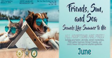 Brevard County Animal Services Is Offering Free Adoption Services For The Month Of June