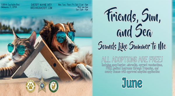 Brevard County Animal Services Is Offering Free Adoption Services For The Month Of June