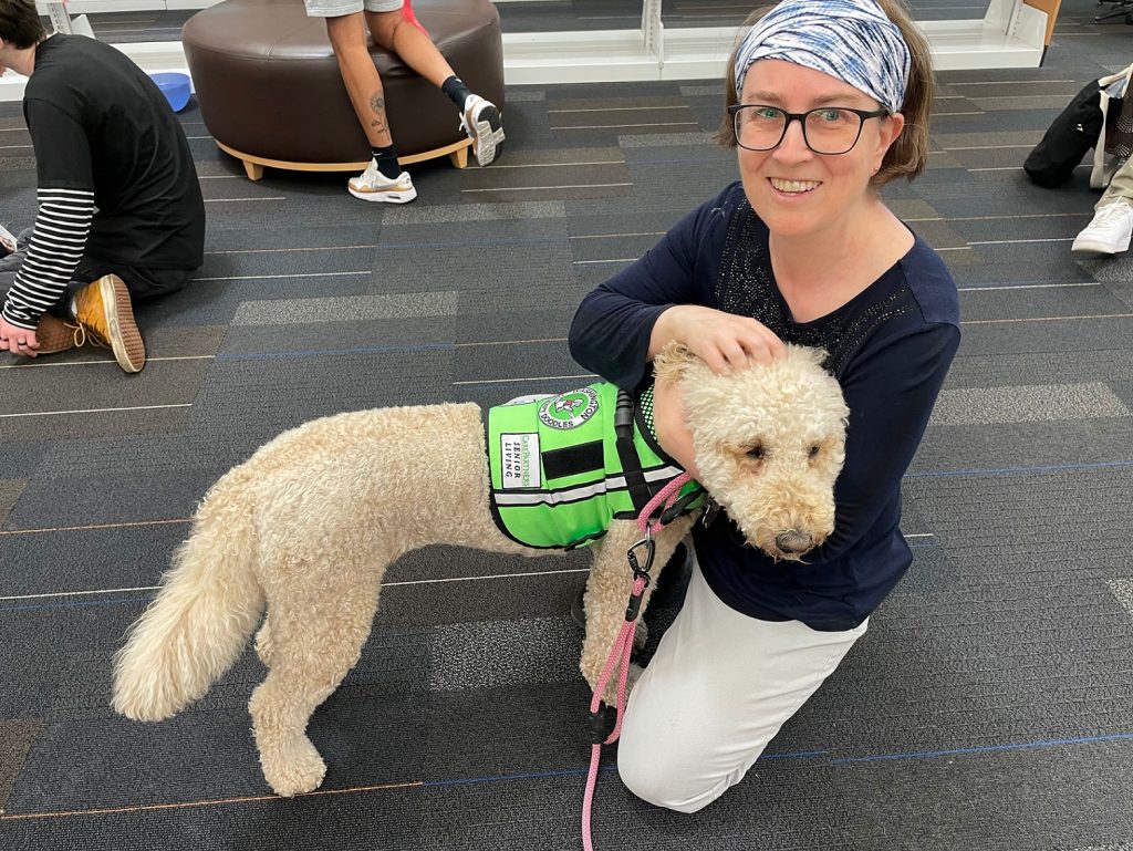 1689484868 699 Therapy Dogs Relieve Stress For Students At South Puget Sound