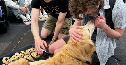 Two College Students Pet A Golden Retriever That Is Lying Down