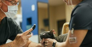 Oregon Animal Hospital Offers A Pet Health Insurance Option