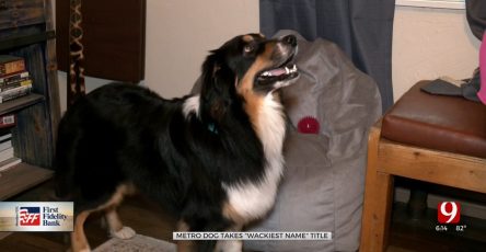 Oklahoma Dog Gets National Recognition For His Wacky Name