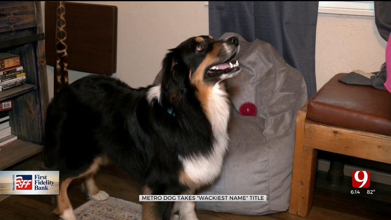 Oklahoma Dog Gets National Recognition For His Wacky Name